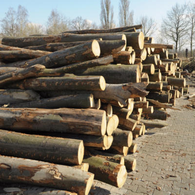 Brennholz Lagerung, erhältlich in Senden und Münster